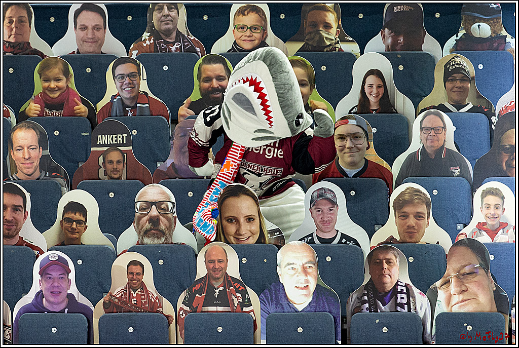 PENNY DEL;  Koelner Haie - Fischtown Pinguins Bremerhaven; Koeln, 12.02.2021